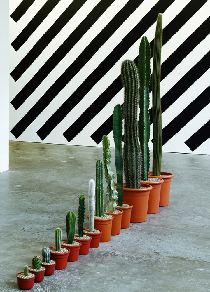 Martin Creed . What's the Point of It . Hayward gallery . London . United Kingdom