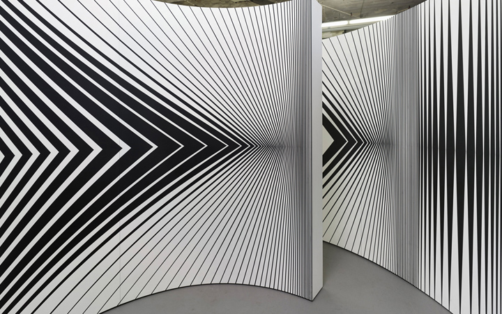 Bridget Riley