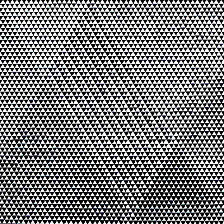 Bridget Riley